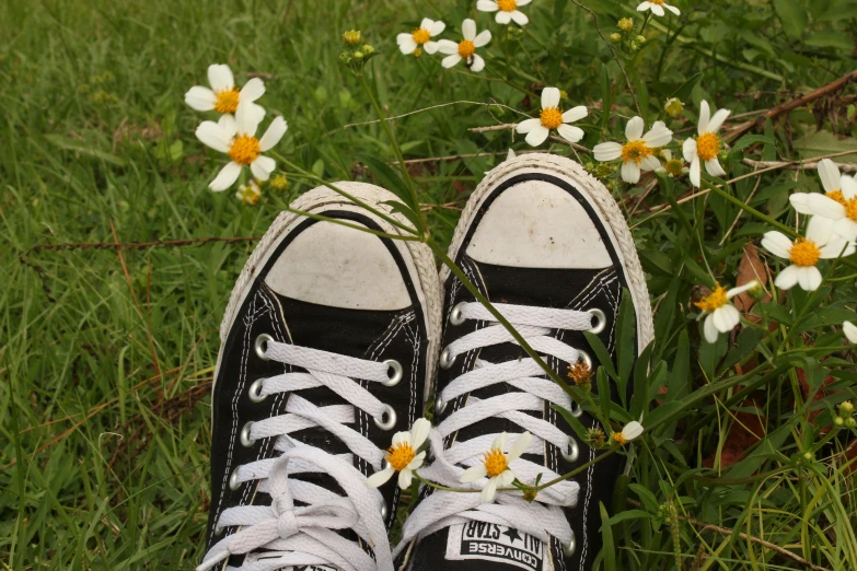 a pair of black sneakers sitting on top of a lush green field, by Lucia Peka, trending on pexels, daisies, avatar image, 90s photo