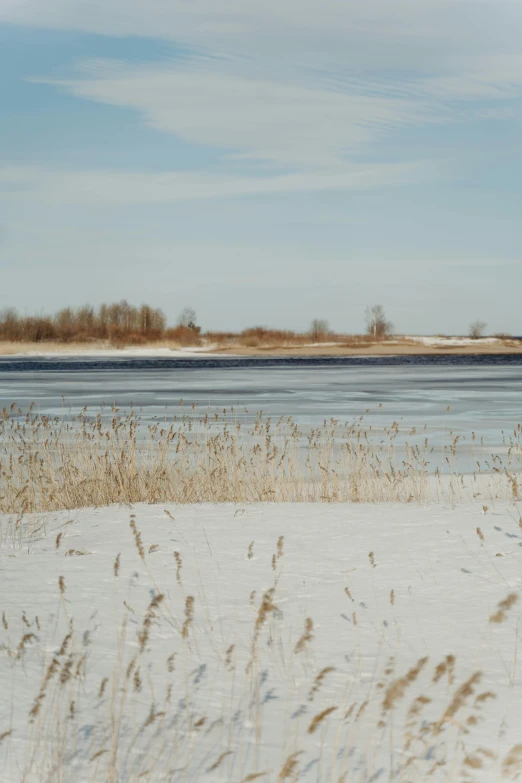 a red fire hydrant sitting on top of a snow covered field, a picture, land art, reed on riverbank, tarmo juhola, mermaids in distance, shot on sony a 7