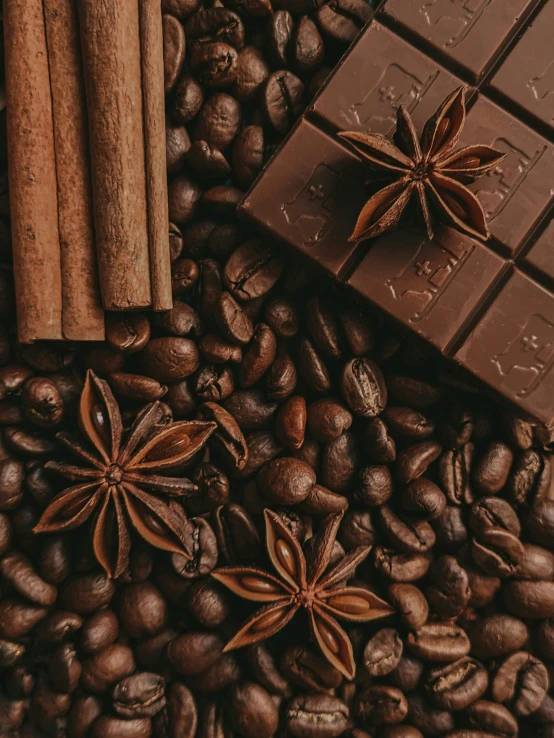 a chocolate bar surrounded by coffee beans and cinnamons, trending on pexels, renaissance, avatar image, stars, brown:-2, moody aesthetic