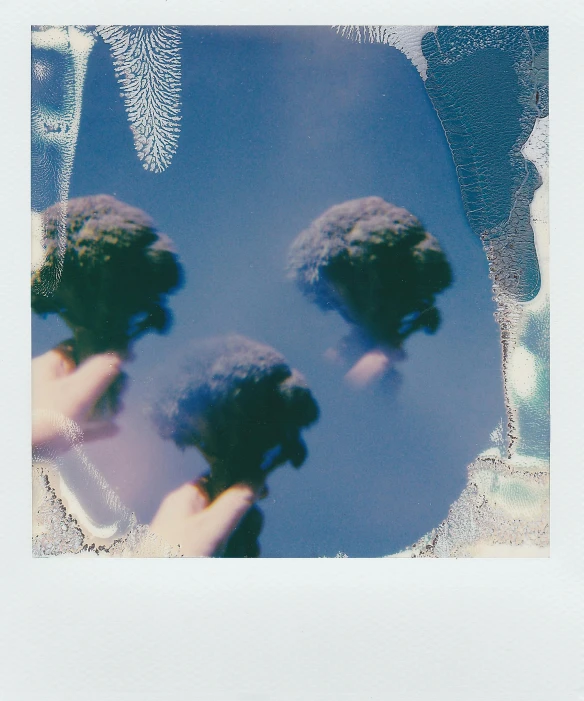 a person holding a bunch of broccoli in front of a mirror, a polaroid photo, unsplash, abstract illusionism, blue transparent jelly, psychedelic flowers and trees, shot on hasselblad, ( 3 1