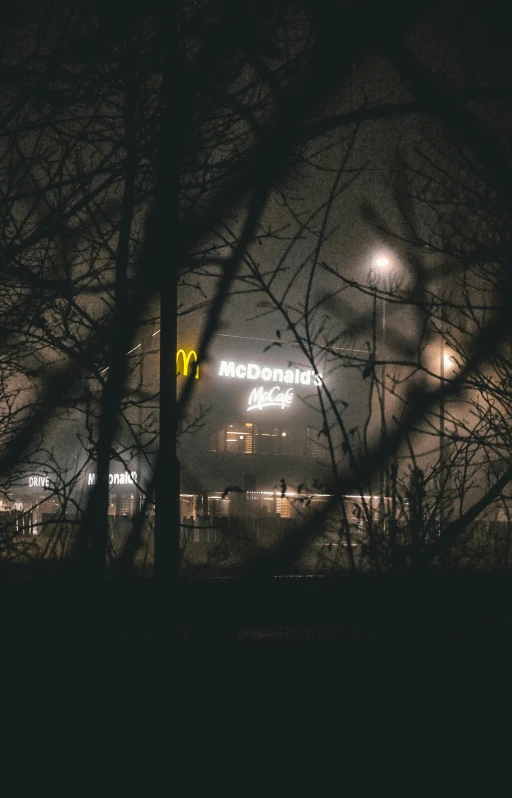 a street sign sitting in the middle of a forest, by Adam Marczyński, pexels, graffiti, mcdonalds restaurant, foggy night, distant photo, dark building