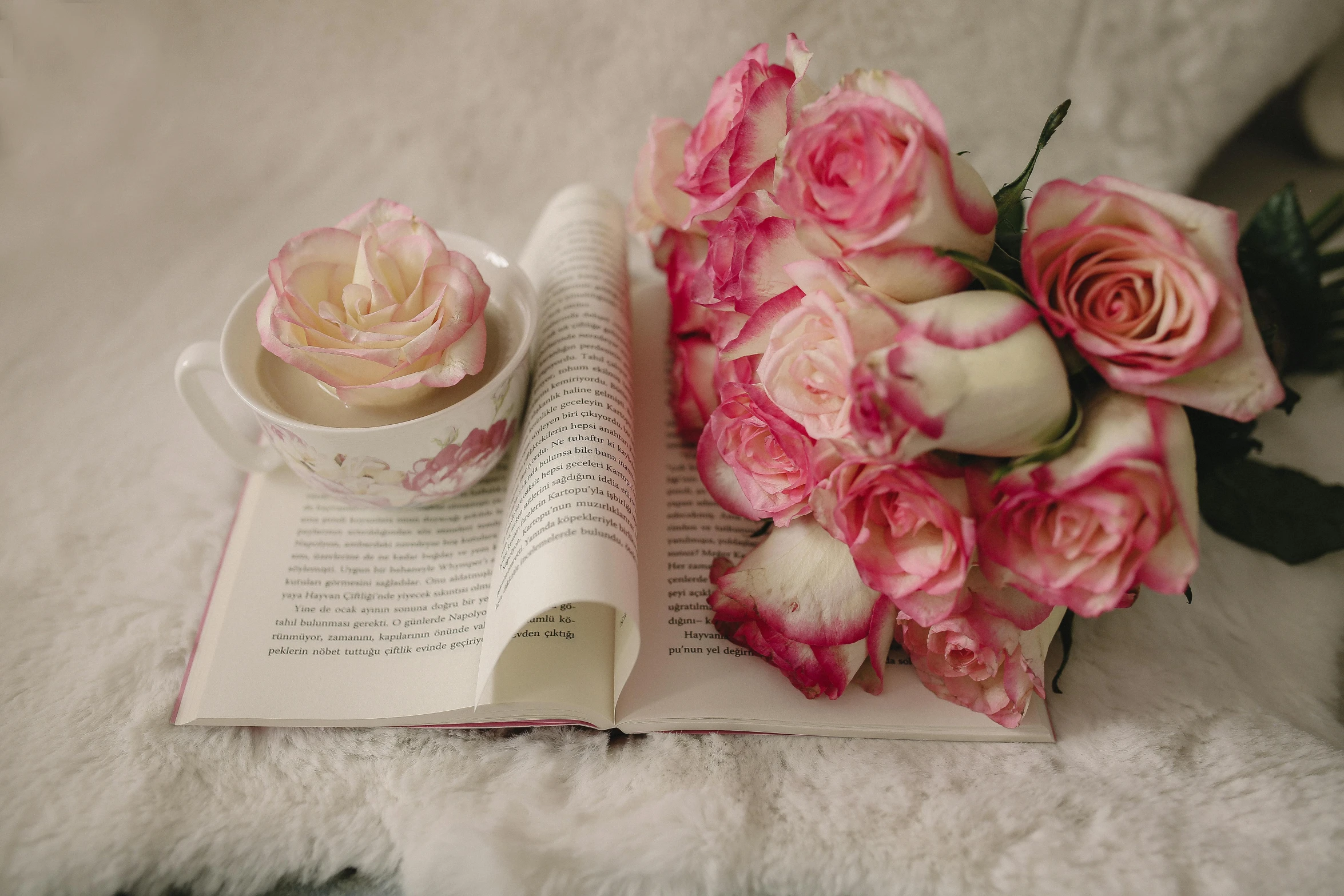 a bouquet of pink roses sitting on top of an open book, by Lucia Peka, pexels contest winner, white and pink, soft skin, full faced, morning time