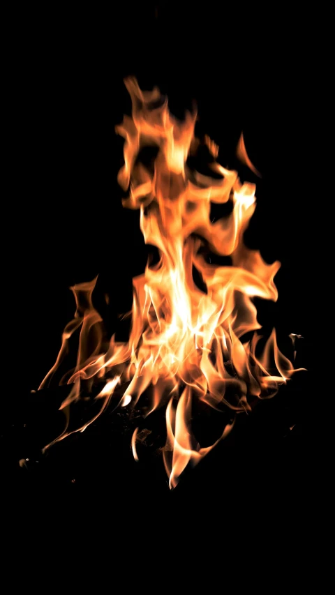 a close up of a fire on a black background, an album cover, by Joe Bowler, digital image, bonfire, contain