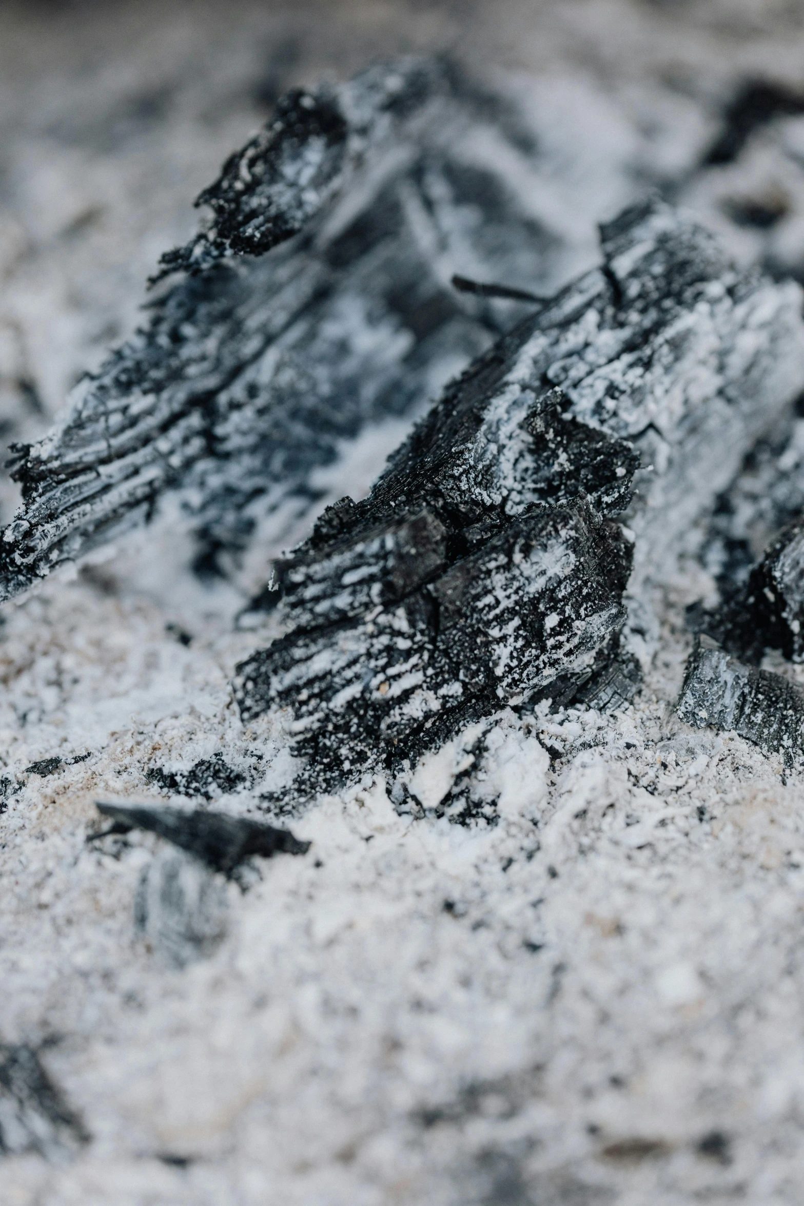 a group of birds sitting on top of a pile of dirt, a charcoal drawing, trending on pexels, baroque, black lung detail, covered in white flour, shiny layered geological strata, smouldering charred timber