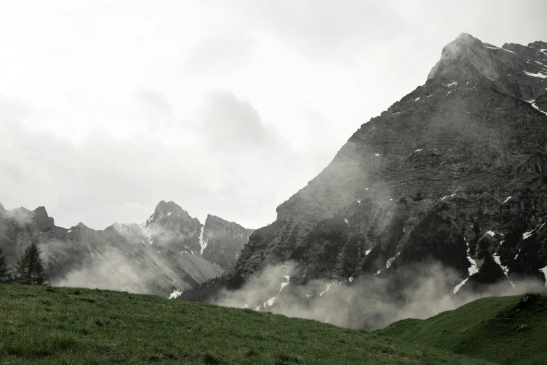 a herd of cattle grazing on top of a lush green hillside, a matte painting, by Johannes Voss, pexels contest winner, hurufiyya, under a gray foggy sky, glacier, fine art print, ignant