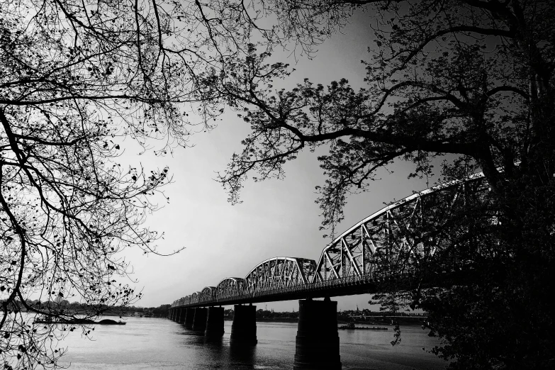 a black and white photo of a bridge over a river, memphis, 1 6 x 1 6, ffffound, leaves