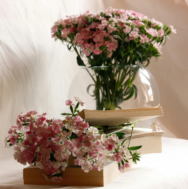 a vase filled with pink flowers next to a stack of books, floating bouquets, valerian, fully visible, white and pink