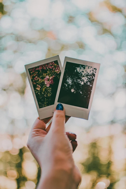 a person holding two polaroids in their hands, a polaroid photo, pexels contest winner, romanticism, botanicals, retro stylised, instant photograph of the sky, photo booth