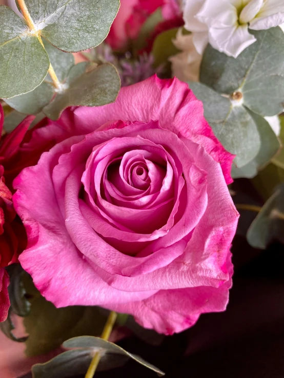 a close up of a bouquet of flowers, rich deep pink, stunning features, natural point rose', extra details