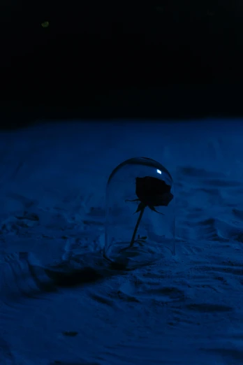 a close up of a person on skis in the snow, an album cover, inspired by Elsa Bleda, romanticism, rendering a blue rose, uneven glass apple in the dark, under glass dome, dark. no text
