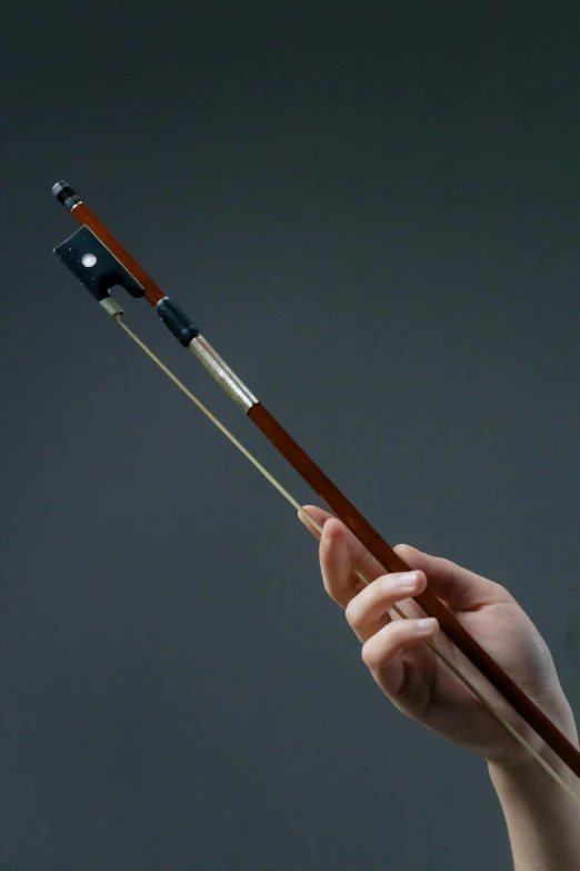 a close up of a person holding a violin, by David Simpson, bauhaus, chopsticks, rectangle, medium sensor, brown