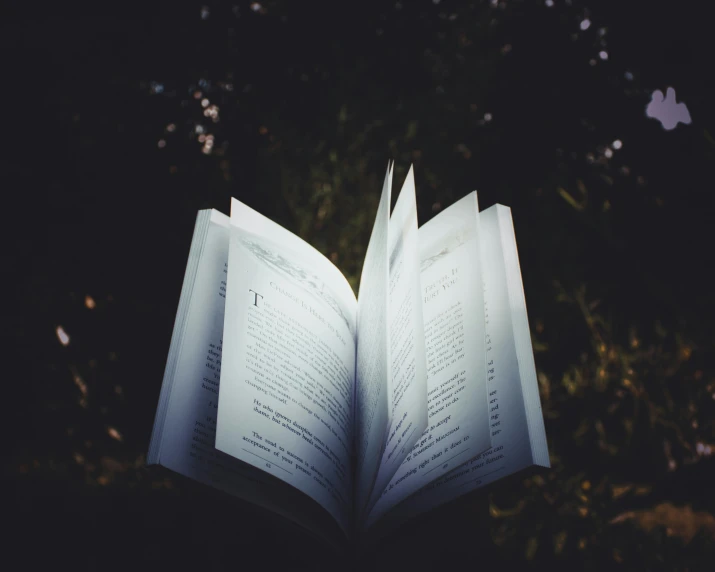 an open book sitting on top of a lush green field, pexels contest winner, in the middle of dark forest, passages, low - angle shot, readability