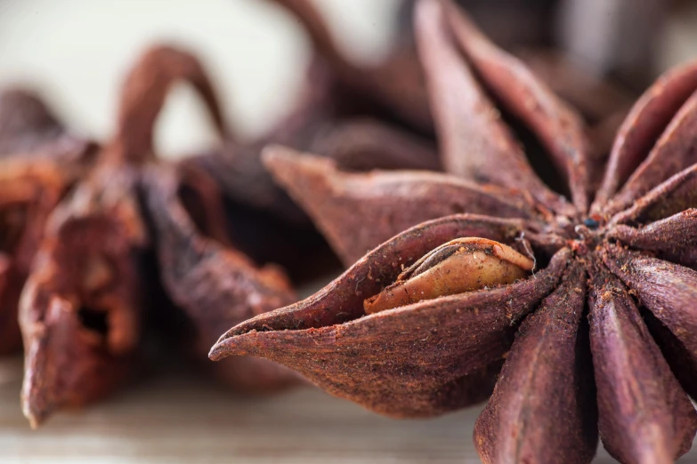 a bunch of star anise on a table, a portrait, trending on pexels, burnt umber, panorama, fan favorite, vanilla
