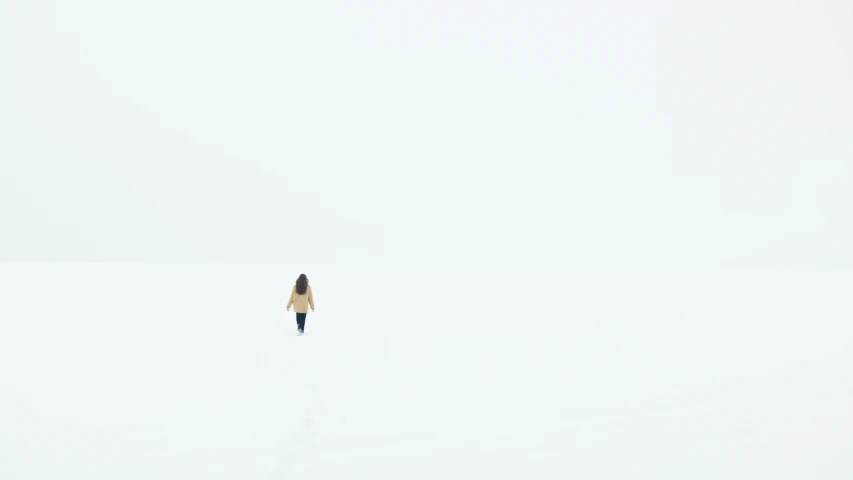 a person walking across a snow covered field, by Emma Andijewska, minimalism, white woman, single figure, completely empty, multiple stories