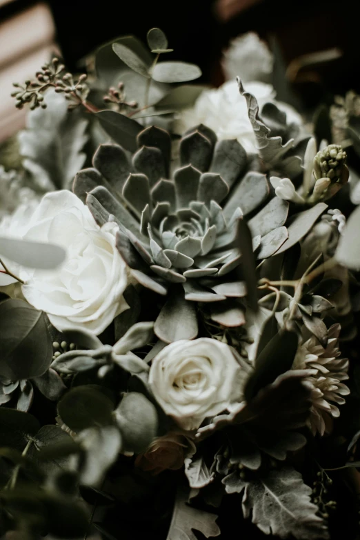 a close up of a bouquet of flowers, silver hues, rugged details, lush gnarly plants, backlighted