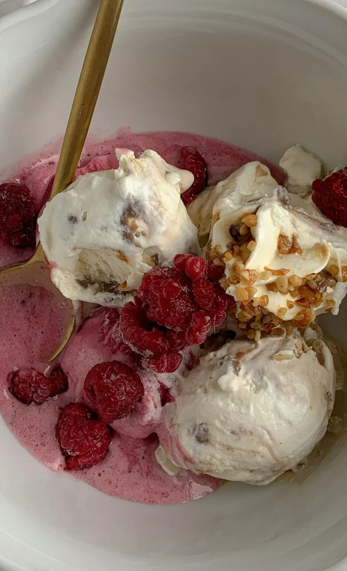 a bowl filled with ice cream and raspberries, photo taken in 2 0 2 0, cooked, sloppy, thumbnail