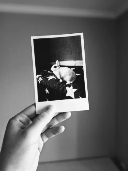 a black and white photo of a person holding a polaroid, a polaroid photo, by Lucia Peka, a rabbit full of hope, high quality upload, pets, 256435456k film