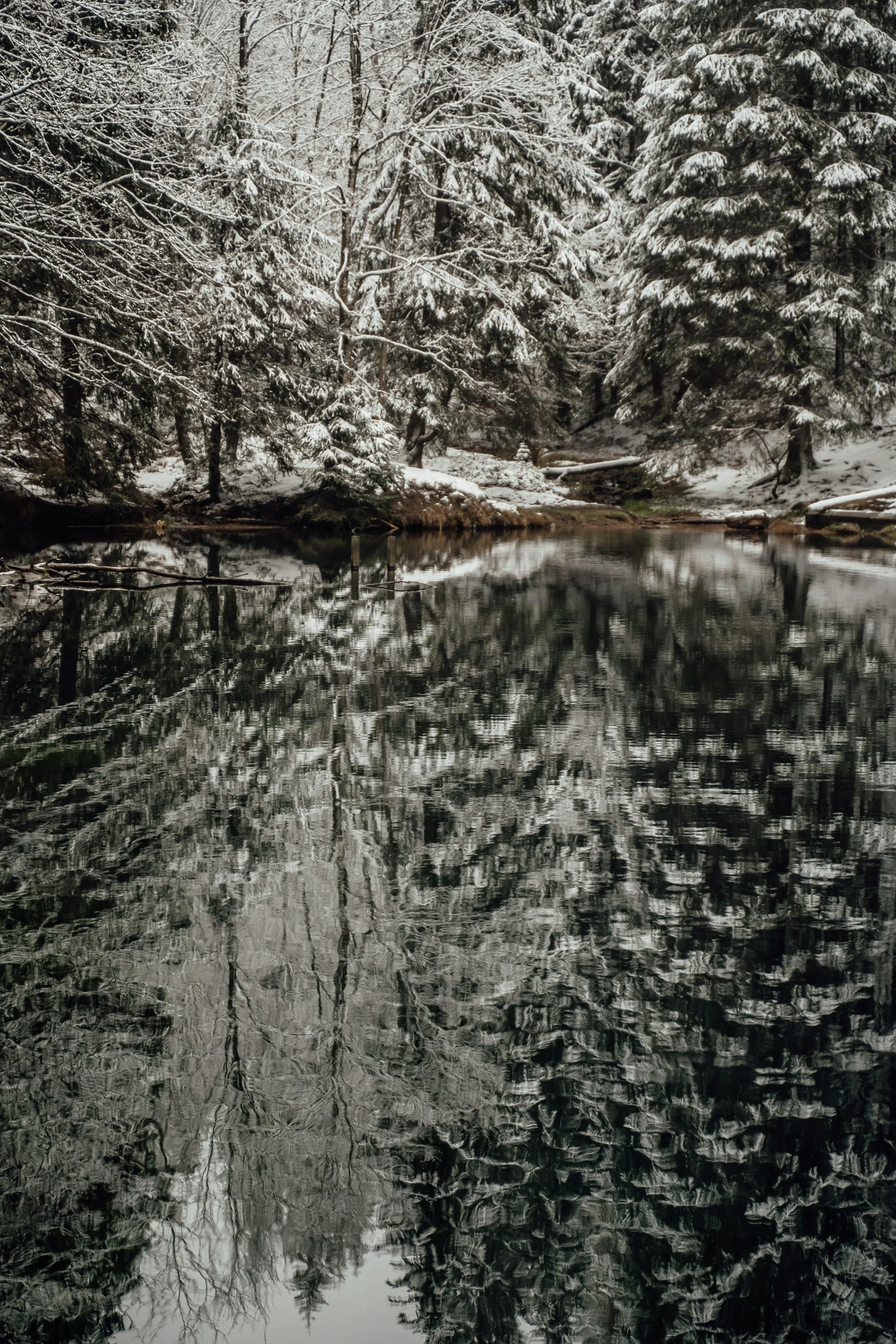 a body of water surrounded by trees covered in snow, a picture, pexels contest winner, tonalism, water mirrored water, high detail 4 k, intricate environment - n 9, black forest