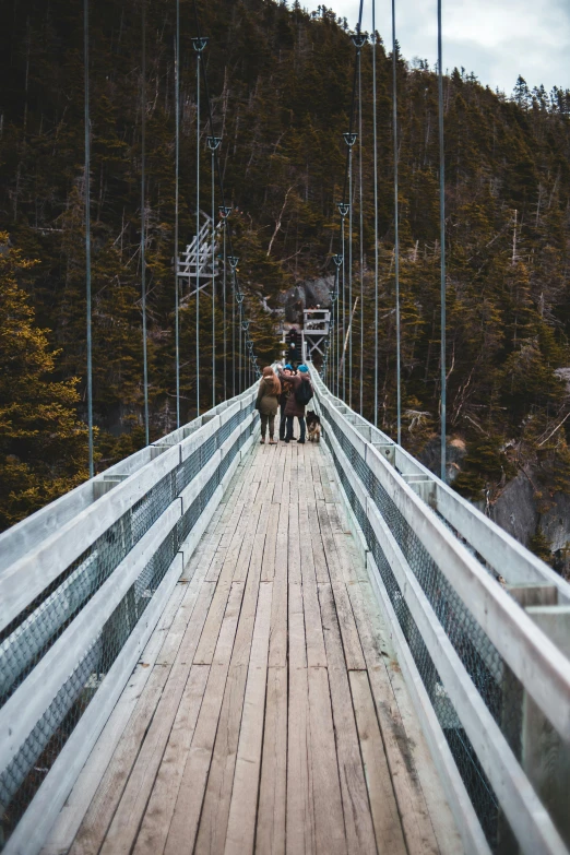 a man riding a horse across a suspension bridge, pexels contest winner, people and creatures walking, new zealand, new hampshire, a cozy