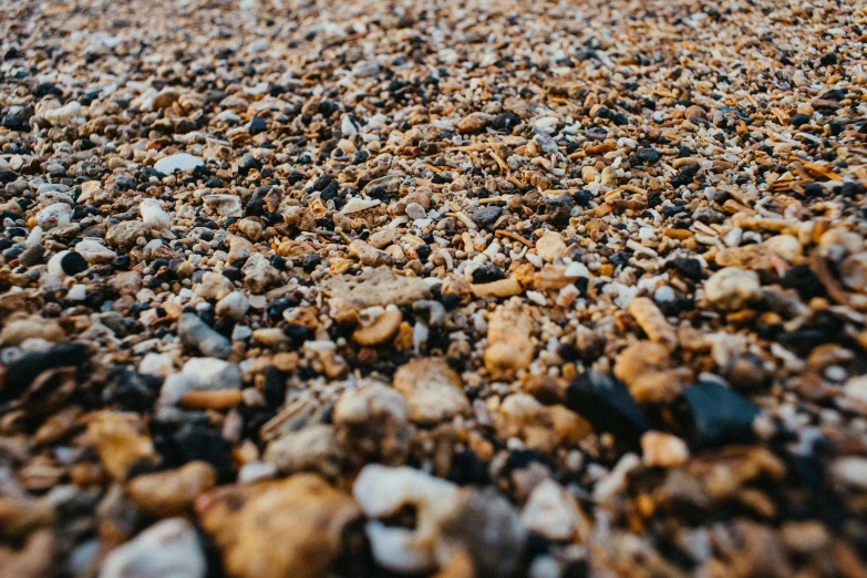 a pile of rocks sitting on top of a sandy beach, an album cover, unsplash, zoomed in shots, cinematic shot ar 9:16 -n 6 -g, rocky roads, golden hour closeup photo