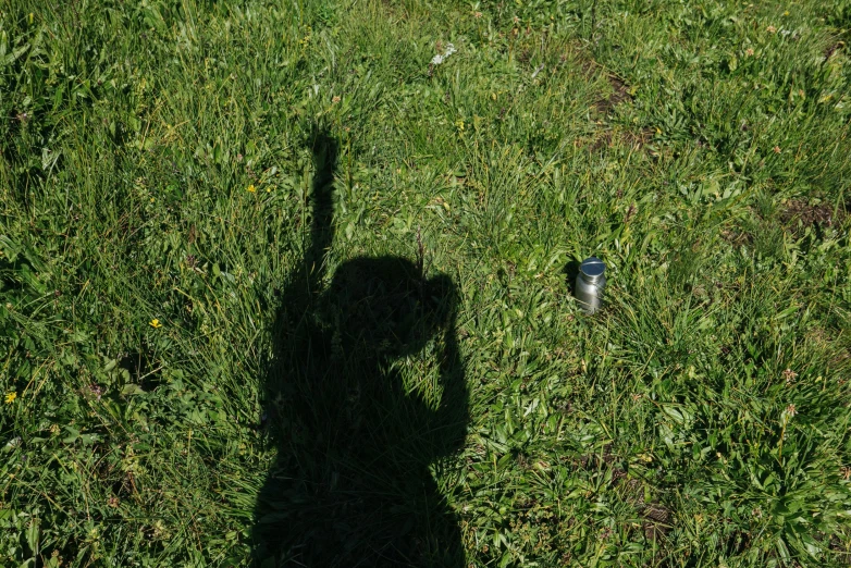 a dog that is standing in the grass with a frisbee, by Jan Rustem, land art, long cast shadows, holding a bottle of arak, hands in air, holding a tin can