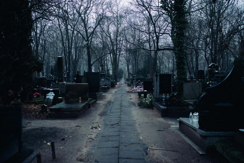 a cemetery filled with lots of tombstones and trees, an album cover, by Attila Meszlenyi, unsplash, pathway, vladimir pchelin, photo taken on fujifilm superia, inside the sepulchre