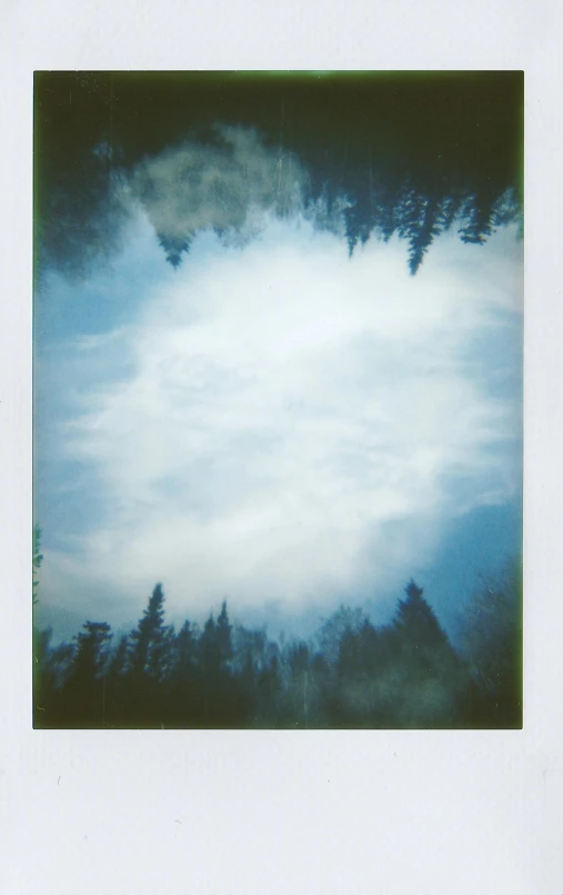 a polaroid picture with trees in the background, by Jessie Algie, cloud vortex, ((forest)), blue and clear sky, fir trees