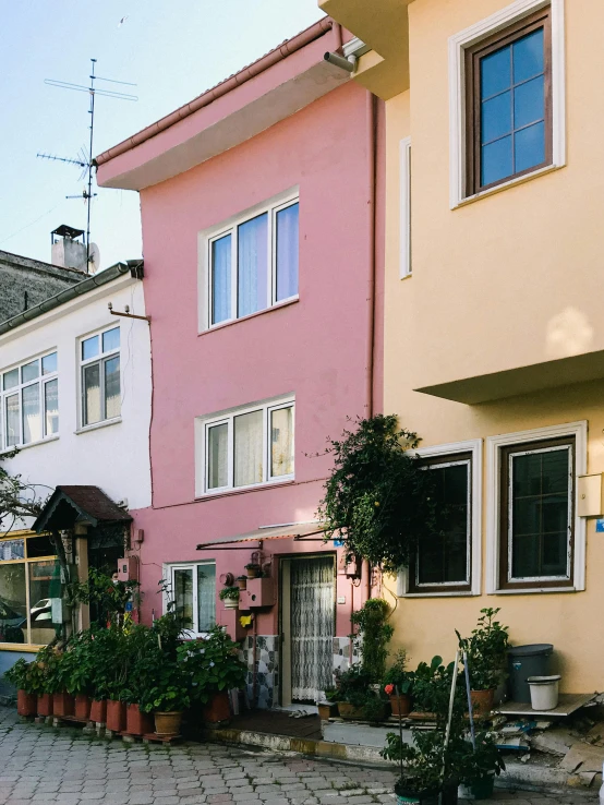 a red fire hydrant sitting on the side of a road, a colorized photo, by Anna Haifisch, unsplash, art nouveau, in a candy land style house, pastel pink, swedish houses, ((pink))