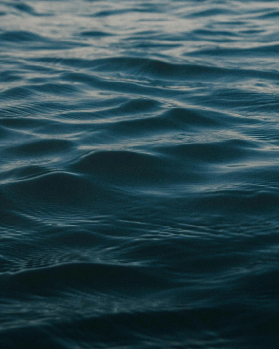 a close up of a body of water with waves, in the water, paul barson, looking partly to the left, navy