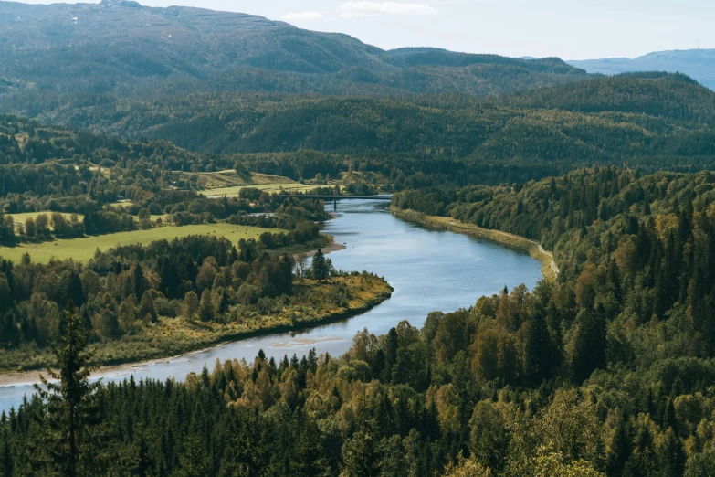 a river running through a lush green forest, by Jesper Knudsen, pexels contest winner, hurufiyya, overlooking a valley with trees, swedish, thumbnail, wide river and lake