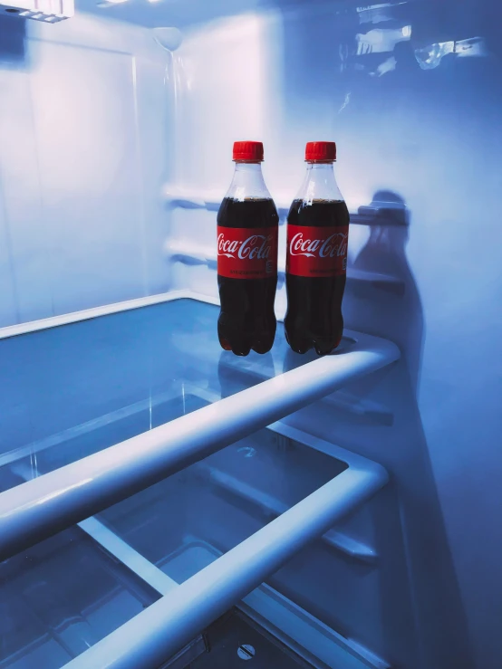 two bottles of coke sit in an empty refrigerator, inspired by Elsa Bleda, pexels contest winner, 🦩🪐🐞👩🏻🦳, naoya tanaka, ( ( theatrical ) ), adult pair of twins