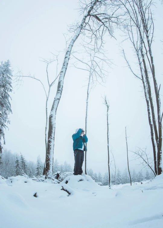 a person standing on top of a snow covered slope, by Jaakko Mattila, dead tree forest, high-quality dslr photo”, profile image