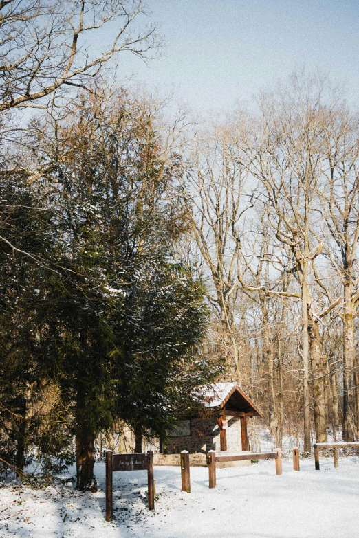 a man riding a snowboard down a snow covered slope, a picture, by Daniel Seghers, unsplash, renaissance, solitary cottage in the woods, exterior botanical garden, maple syrup, from wheaton illinois