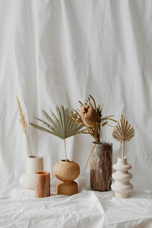 a group of vases sitting on top of a table, a still life, unsplash, dried palmtrees, white backdrop, small, indoor picture