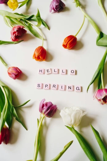 colorful tulips arranged in a circle with the words hello spring spelled in scrabbles, happening, thumbnail, spring fashion, hey, single