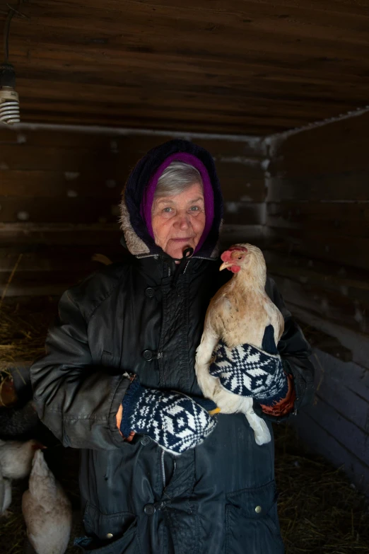 a woman holding a baby sheep in a barn, inspired by Louisa Matthíasdóttir, symbolism, near lake baikal, rooster, an elderly, mittens