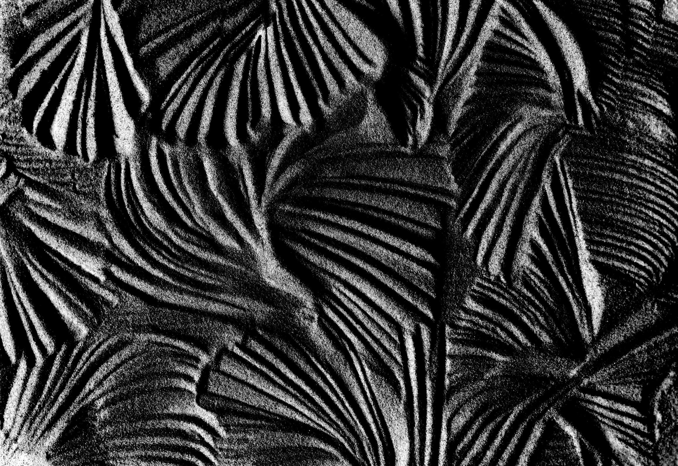 a black and white photo of a bunch of leaves, an abstract drawing, inspired by Edward Weston, featured on zbrush central, extremely detailed sand, abstract black leather, black sand, textured 3 d
