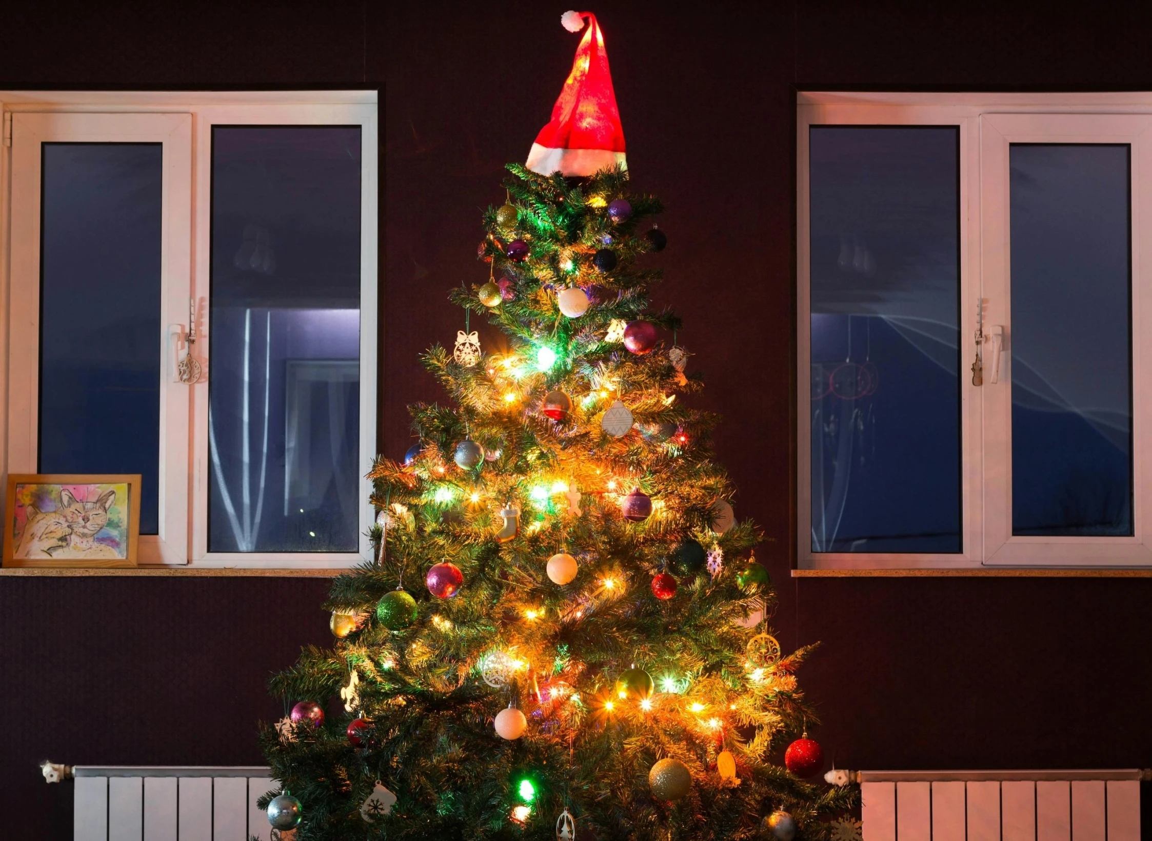 a christmas tree with a santa hat on top of it, pexels, lights are on in the windows, square, demur, high resolution