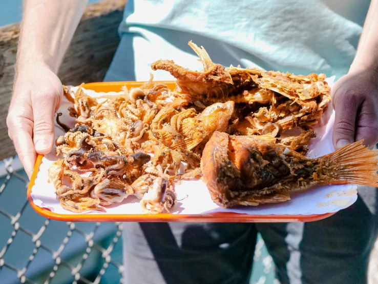 a close up of a person holding a plate of food, by Carey Morris, pexels contest winner, hurufiyya, deep fried, 🦩🪐🐞👩🏻🦳, skinned, amanda lilleston