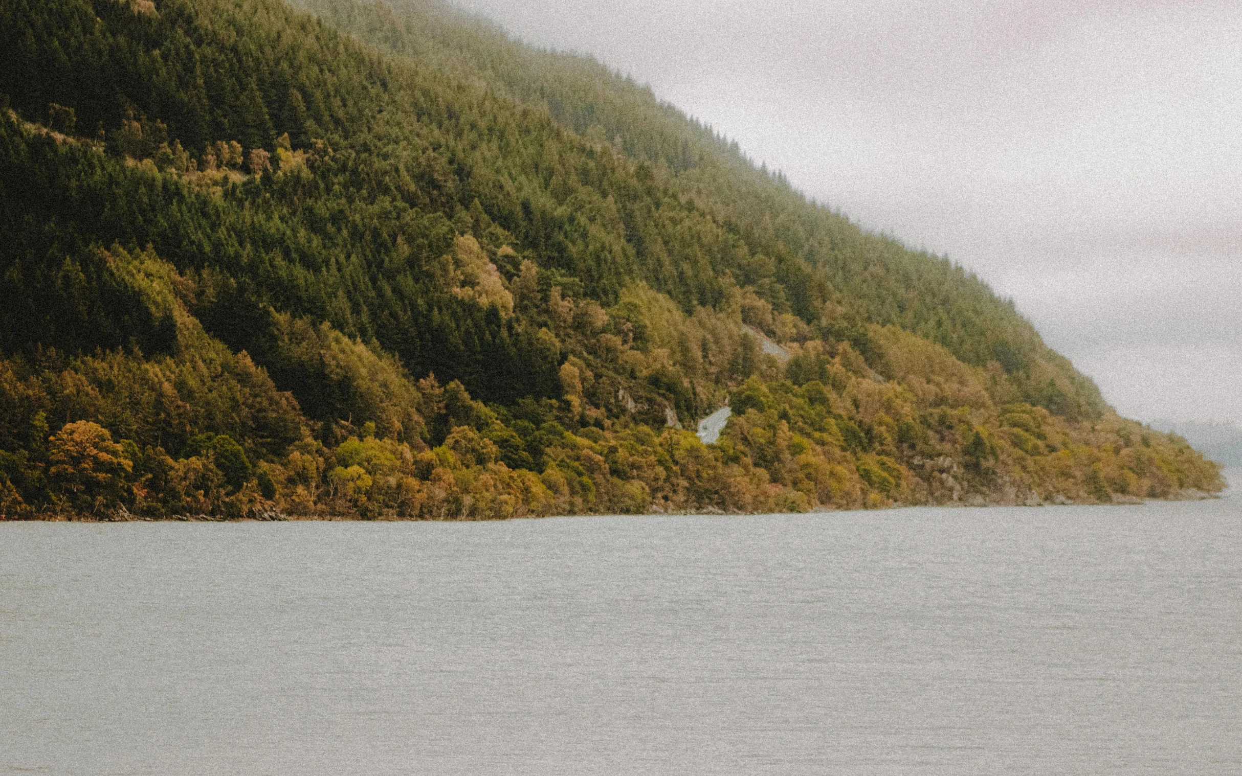 a large body of water surrounded by trees, by Sophie Pemberton, unsplash contest winner, visual art, new zealand, fjord, natural dull colours, 2000s photo