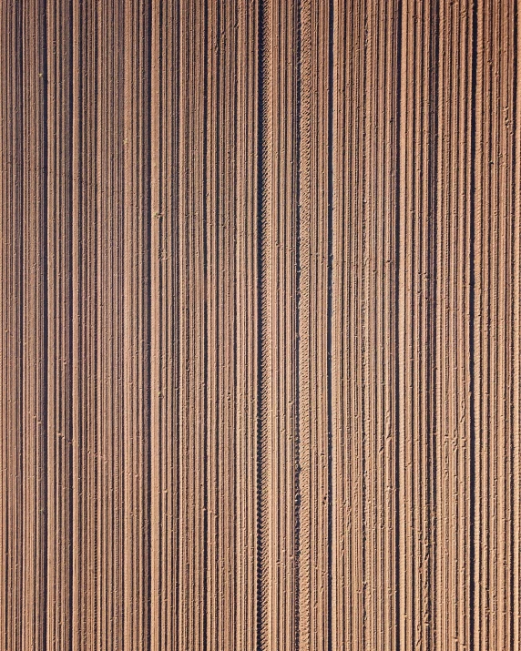an aerial view of a plowed field, an ultrafine detailed painting, by Andreas Gursky, unsplash, op art, black vertical slatted timber, black fine lines on warm brown, 3 2 x 3 2, reddish - brown