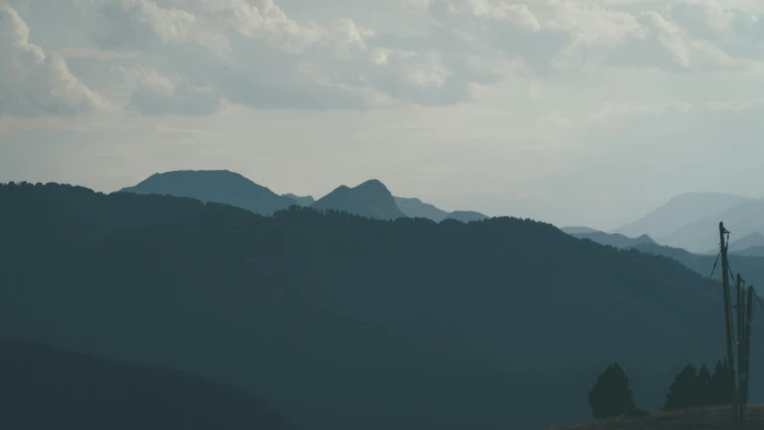 a couple of birds sitting on top of a lush green hillside, by Attila Meszlenyi, pexels contest winner, ominous! landscape of north bend, road between hills, silhouetted, banner