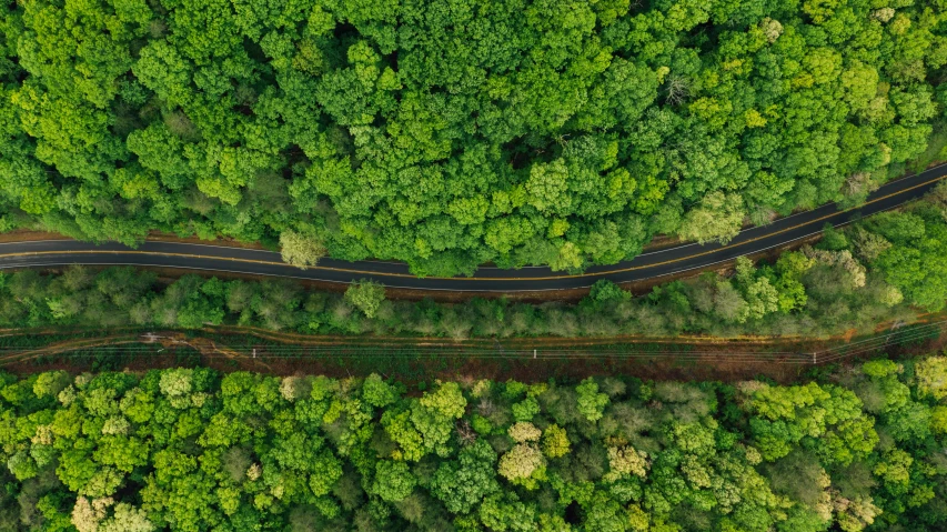 an aerial view of a road in the middle of a forest, big island, nature photo