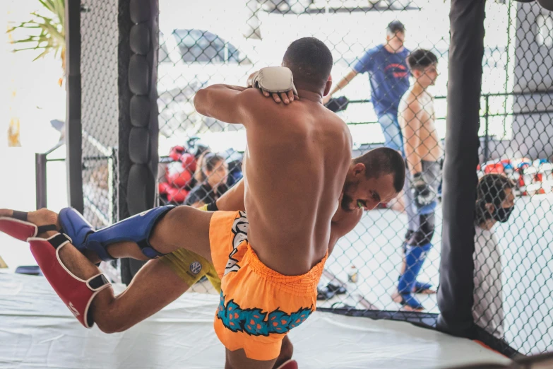 a couple of men standing next to each other in a cage, pexels contest winner, figuration libre, doing a kick, world championship fight, in sao paulo, profile image