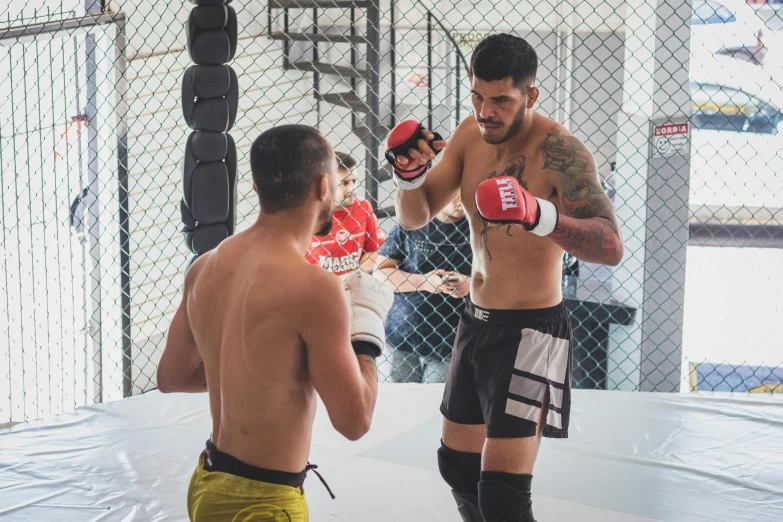 a couple of men standing next to each other in a cage, pexels contest winner, figuration libre, mma southpaw stance, in sao paulo, profile image, square