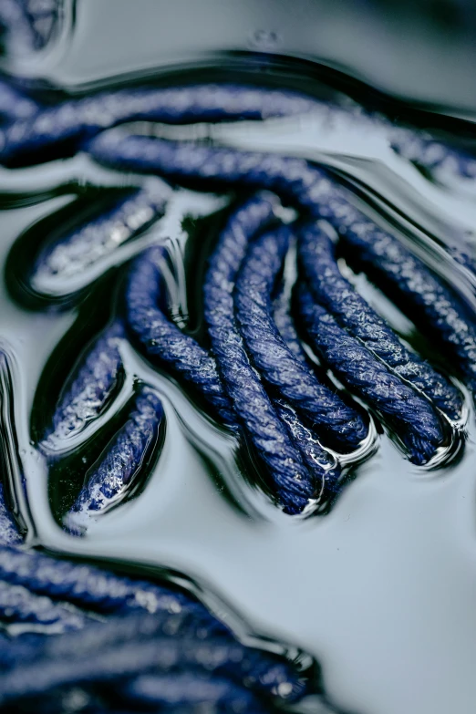 a bunch of blue worms floating on top of a body of water, a macro photograph, inspired by Yves Klein, unsplash, ropes, purple and blue leather, carved from sapphire stone, detailed product image