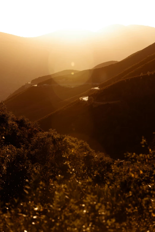 a couple of cows standing on top of a lush green hillside, by Alexis Grimou, les nabis, golden hour photograph, hazy, hong kong, “ aerial view of a mountain