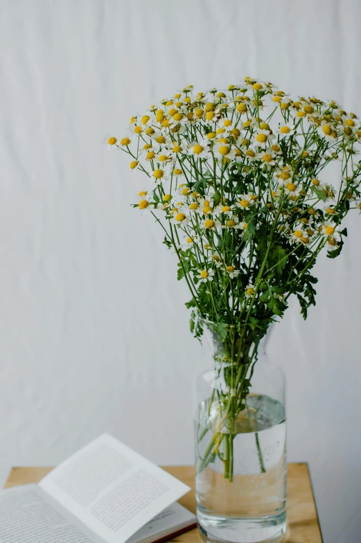 a vase filled with yellow flowers next to an open book, on a white table, chamomile, over-shoulder shot