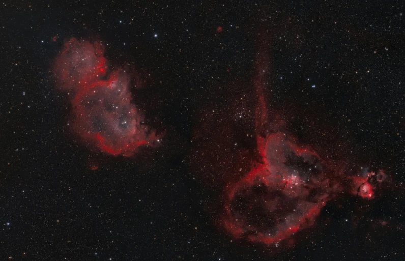 two red nebulas in the sky, a microscopic photo, by John Covert, horns. dark colors, forming a heart with their necks, colour corrected, tardigrade in space