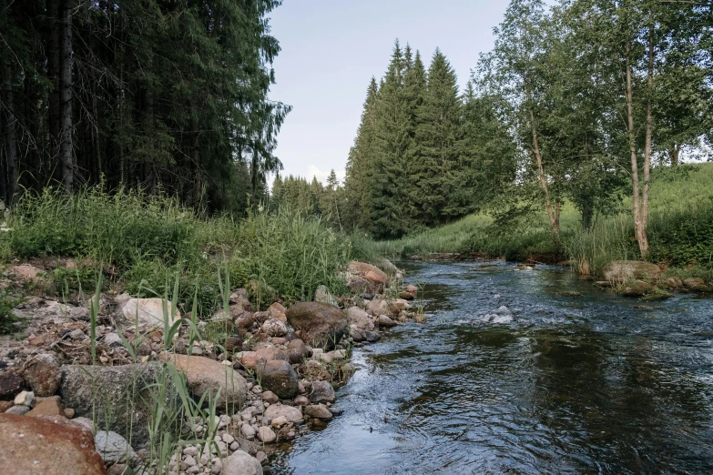 a river running through a lush green forest, by Jakob Häne, unsplash, hurufiyya, 2 5 6 x 2 5 6 pixels, fishing, summer evening, gray